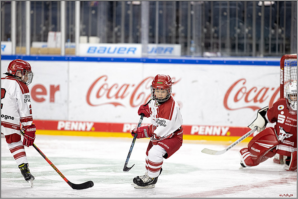 PENNY DEL;  Koelner Haie - Junghaie U9; Koeln, 18.03.2022